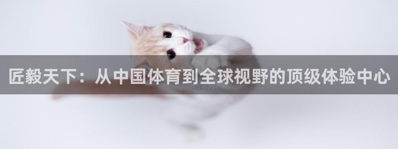 匠毅天下：从中国体育到全球视野的顶级体验