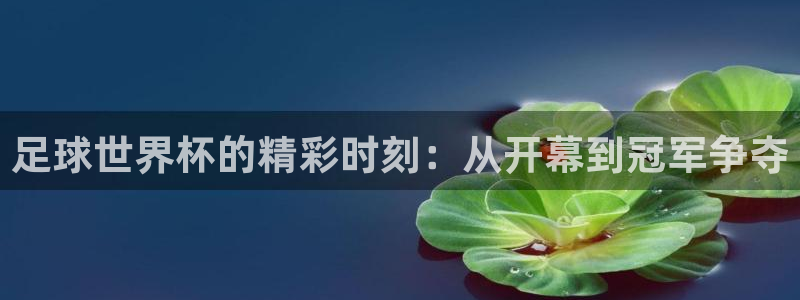 足球世界杯的精彩时刻：从开幕到冠军争夺