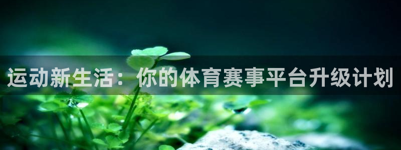 运动新生活：你的体育赛事平台升级计划